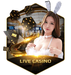 WINZONE8 真人娛樂城 - Live Casino